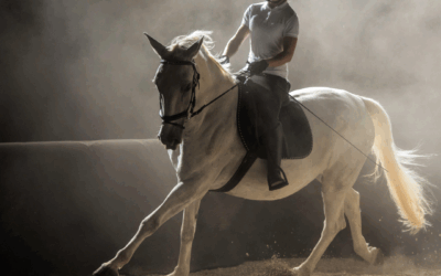 Disturbi muscolo-scheletrici nell’equitazione